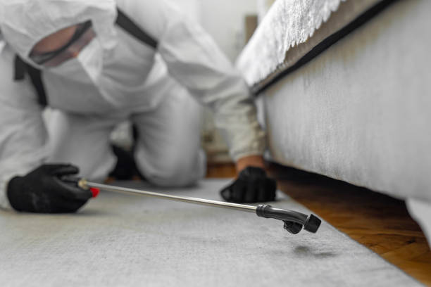 Professional Pest Control technician working in Mead, WA
