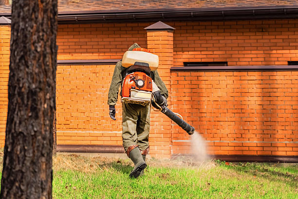 Trusted Mosquito Control service in Mead, WA - Nex Pest Control